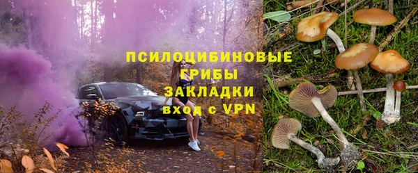 МДПВ Абаза