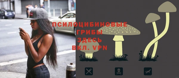 тгк Алзамай